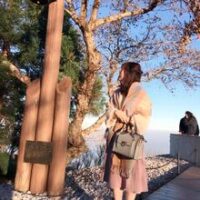 ココナラでタロットが当たる占い師　yua☺︎先生